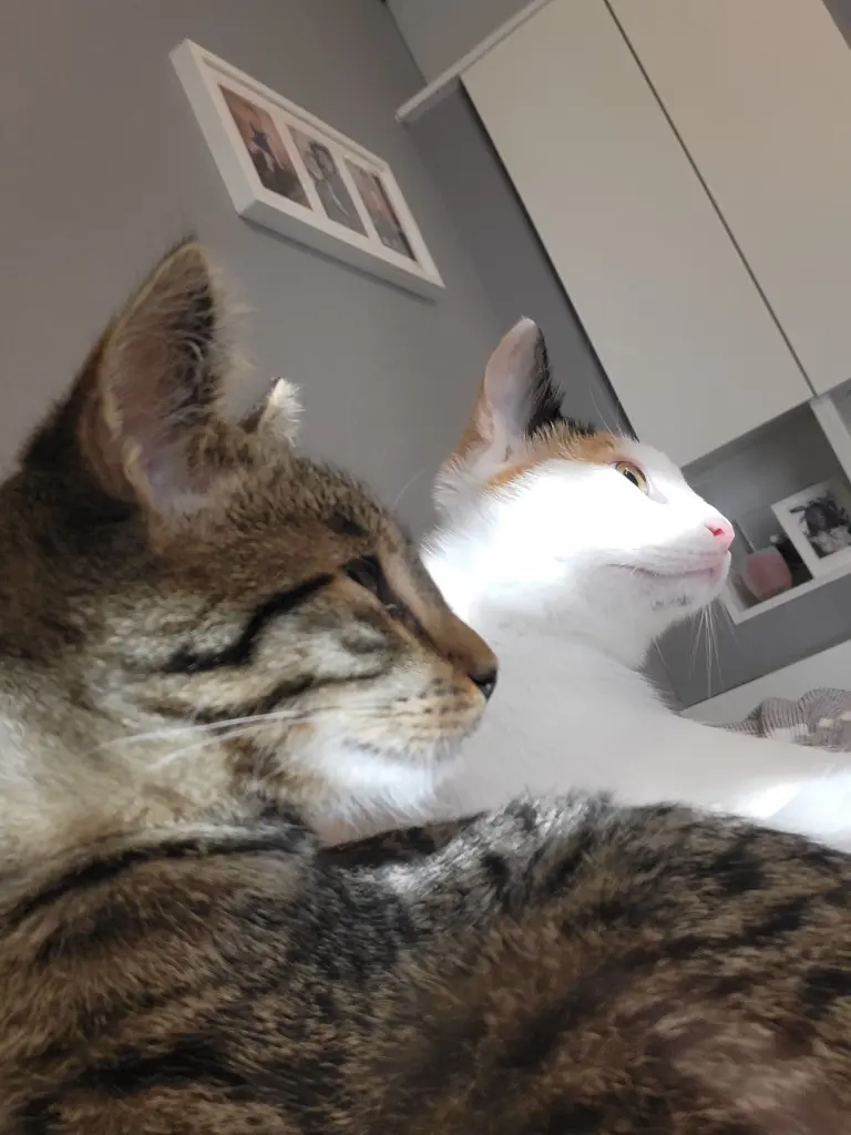 Andachtsbild von Deine Mama