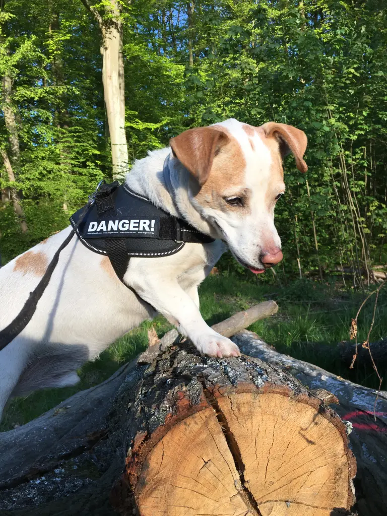 Andachtsbild von Stefanie Bauer