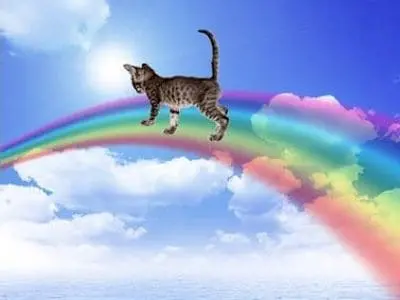 Andachtsbild von Birgit mit Susi im Herzen♥️