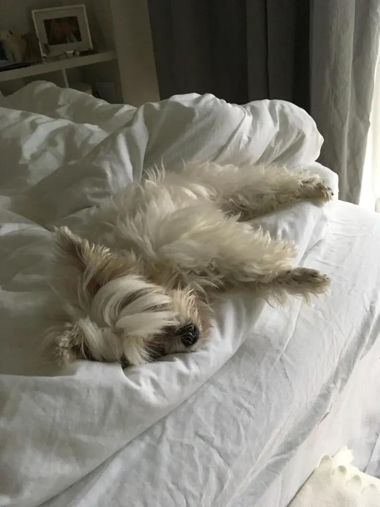 Condolence image of Christoph 