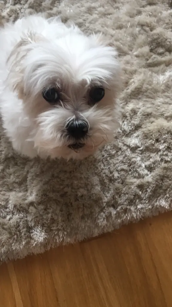 Condolence image of Melanie 