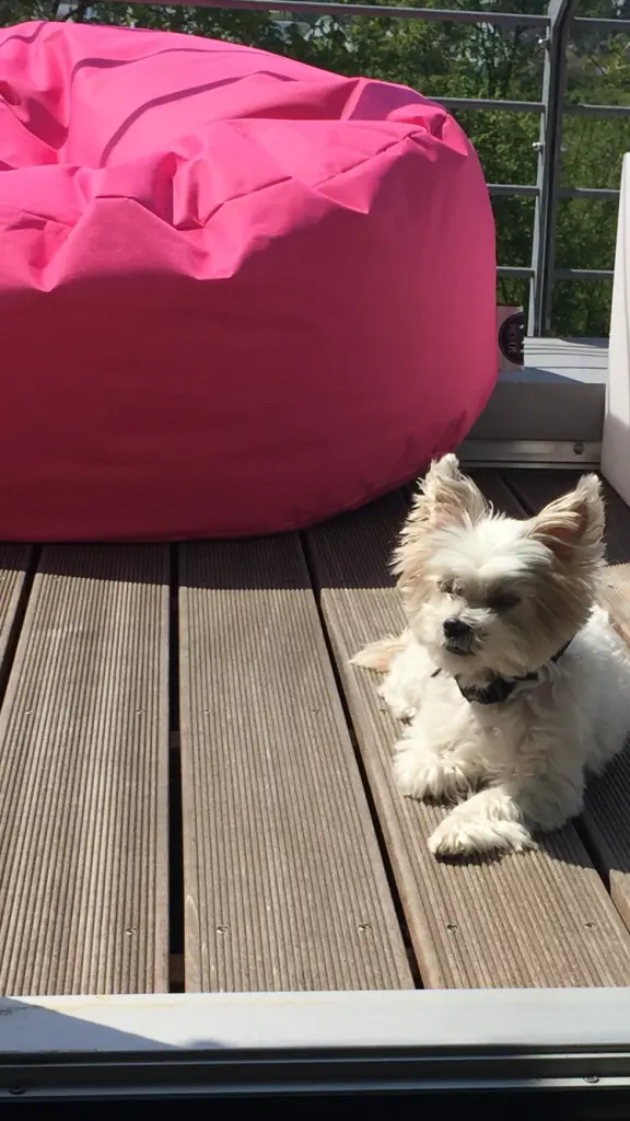 Condolence image of Melanie 