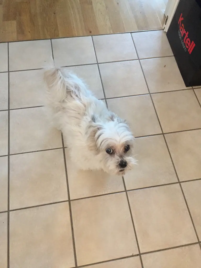 Condolence image of Melanie 