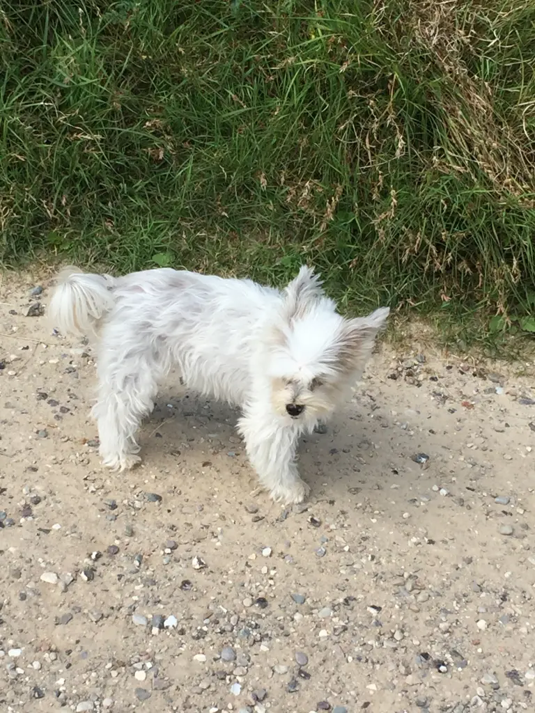 Condolence image of Melanie 