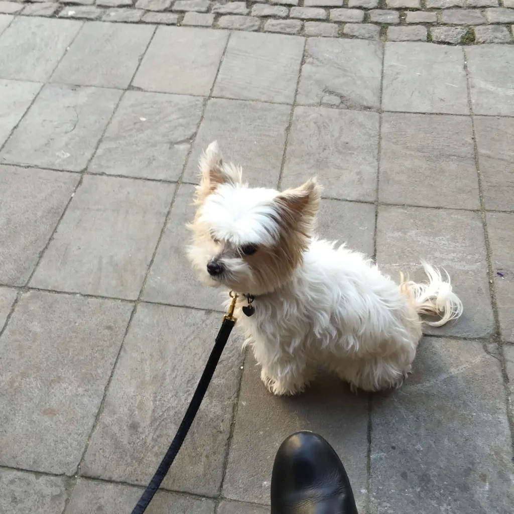 Condolence image of Melanie 