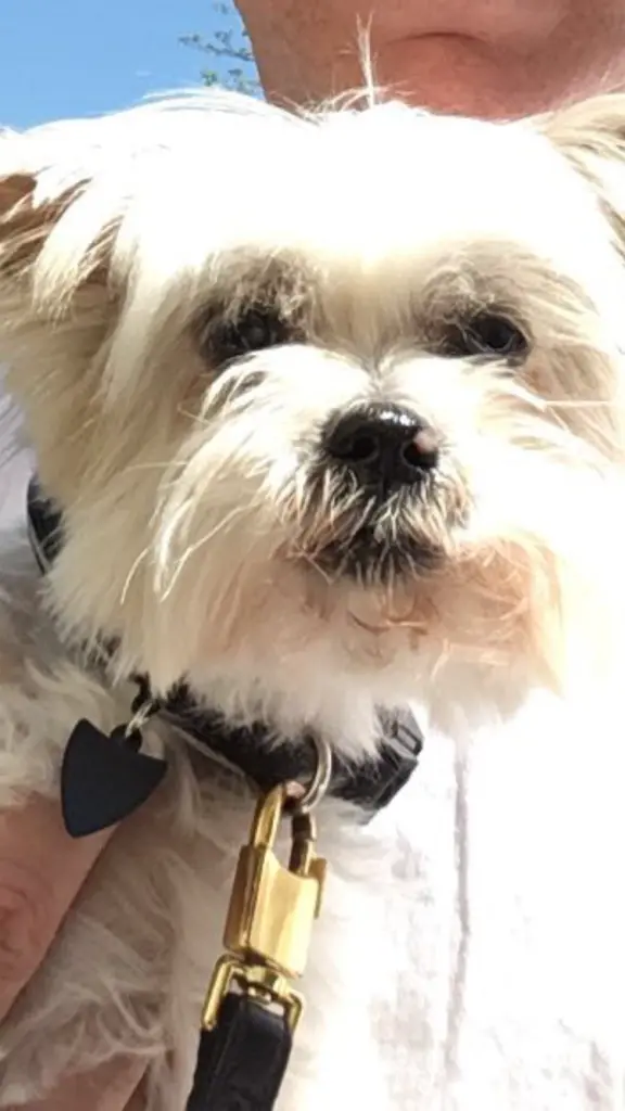 Condolence image of Melanie 