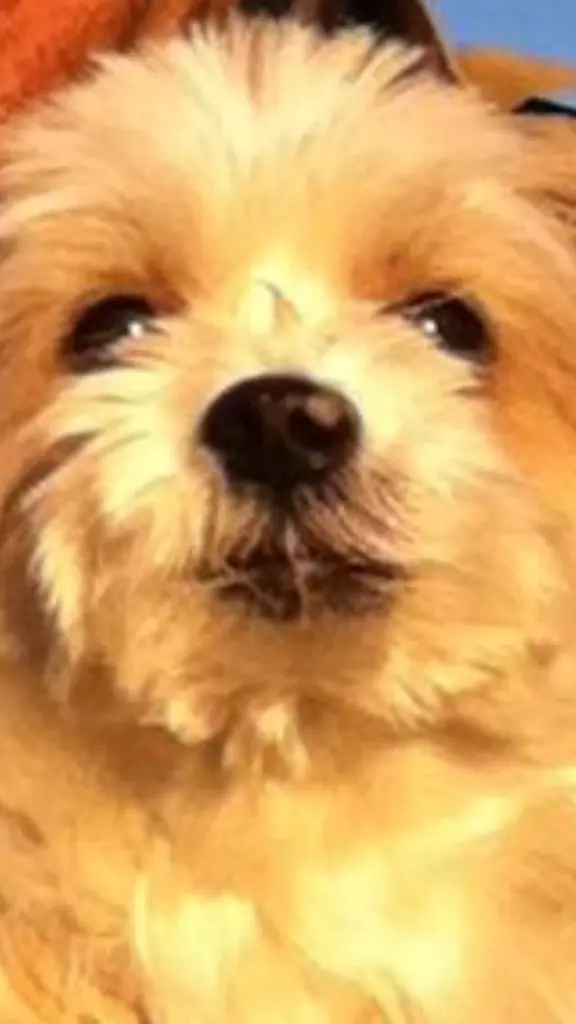 Condolence image of Melanie 