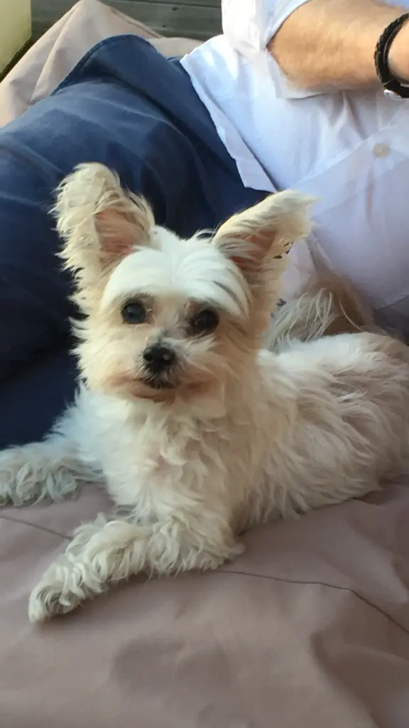 Condolence image of Melanie 