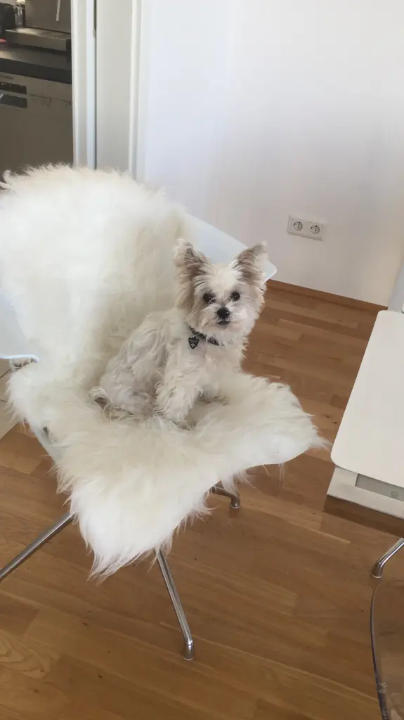 Condolence image of Melanie