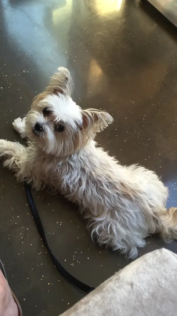 Condolence image of Melanie 