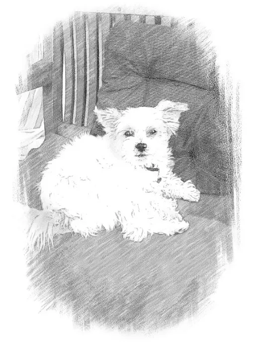 Condolence image of Melanie 