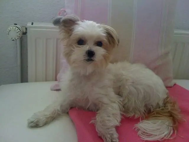 Condolence image of Melanie 