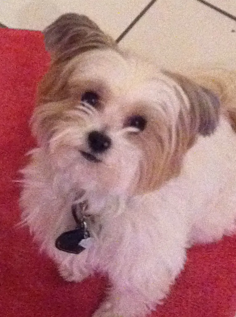 Condolence image of Melanie 