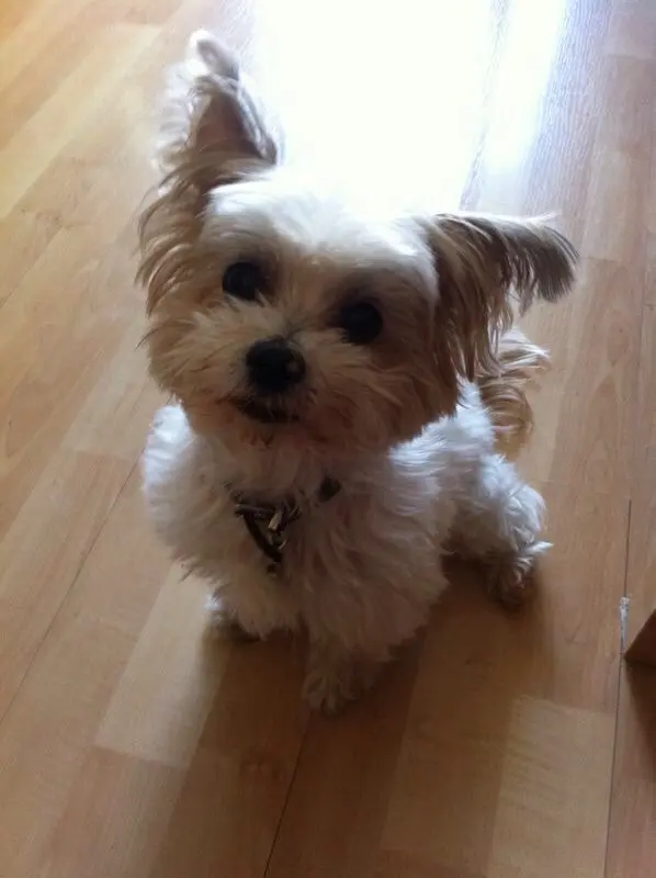 Condolence image of Melanie 