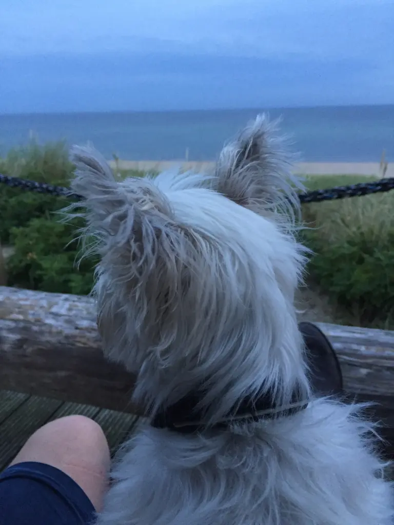 Condolence image of Melanie 