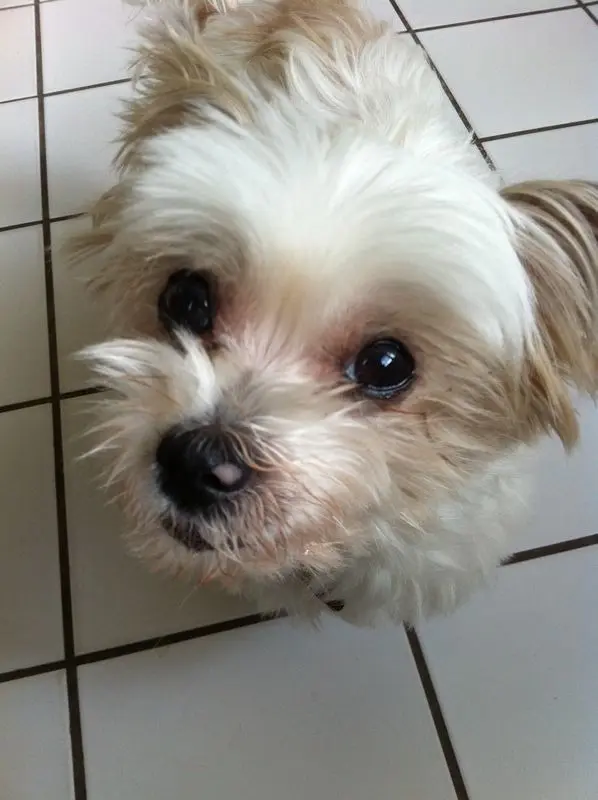 Condolence image of Melanie 