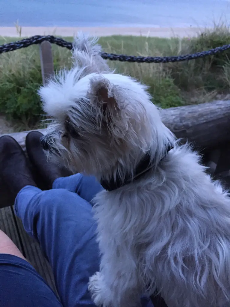 Condolence image of Melanie 