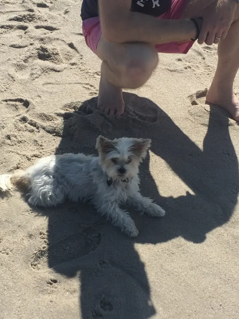 Condolence image of Melanie 