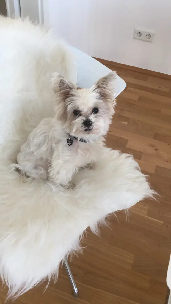 Condolence image of Melanie 