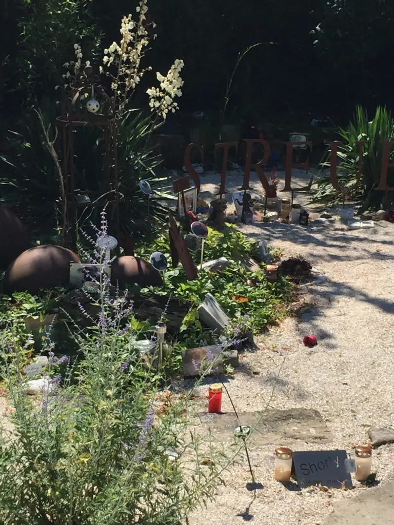 Condolence image of Melanie 