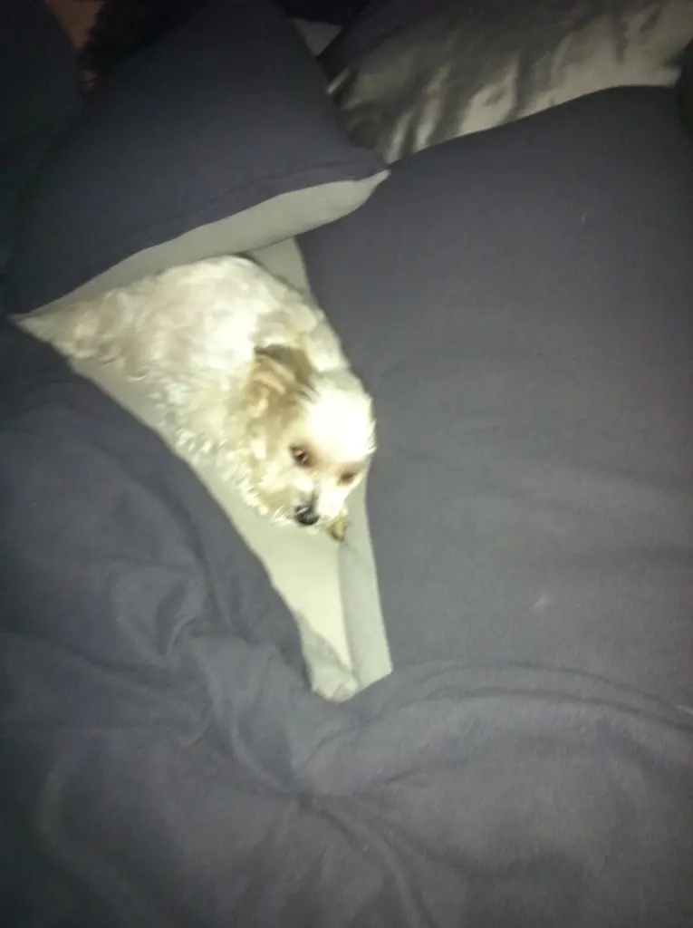 Condolence image of Melanie 