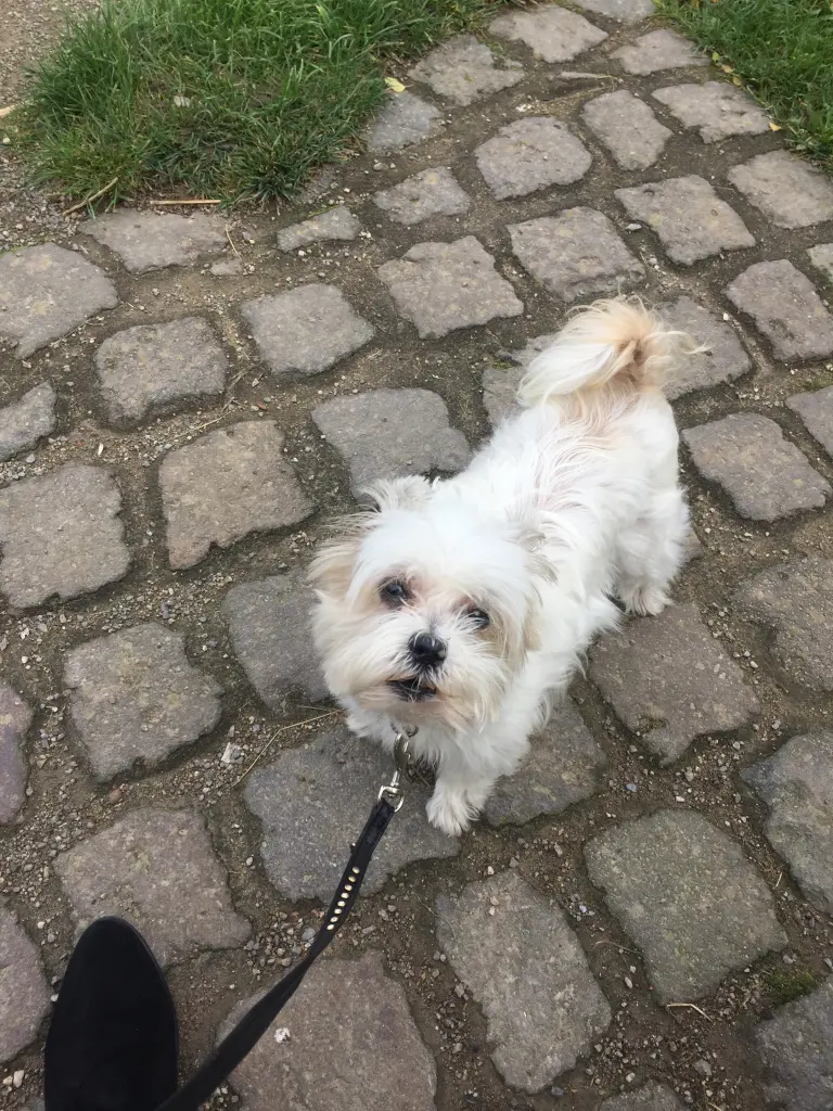 Condolence image of Melanie 