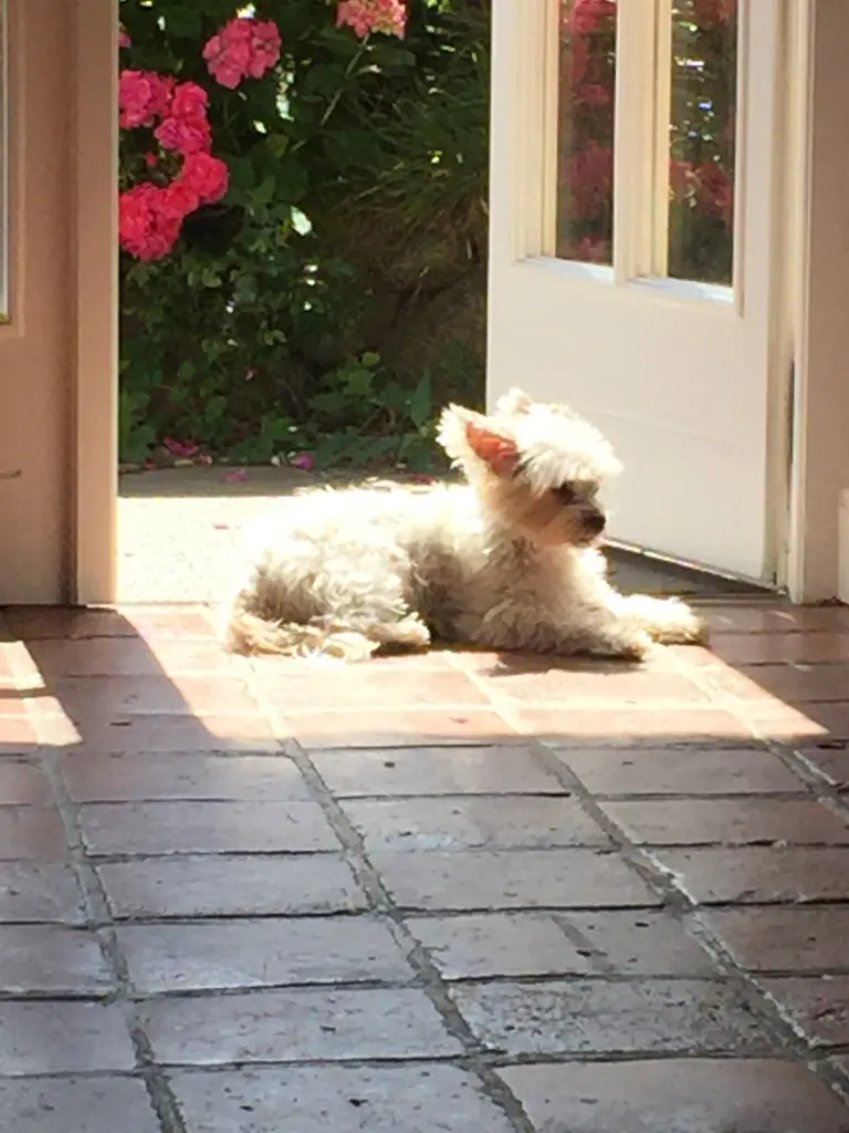 Condolence image of Melanie