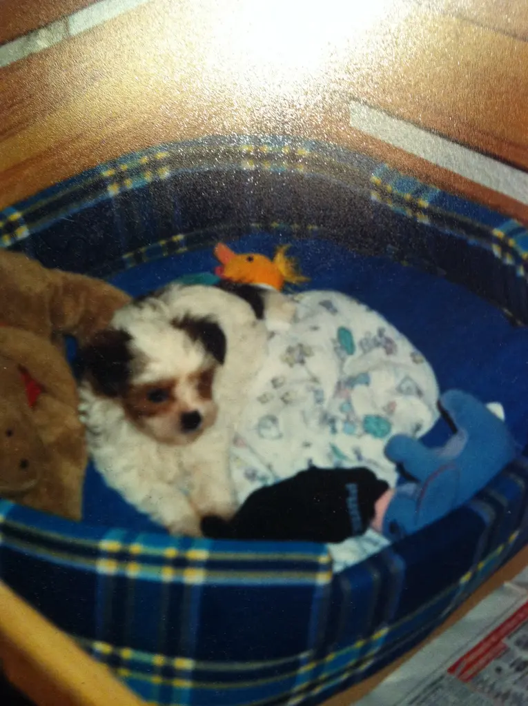 Condolence image of Melanie 