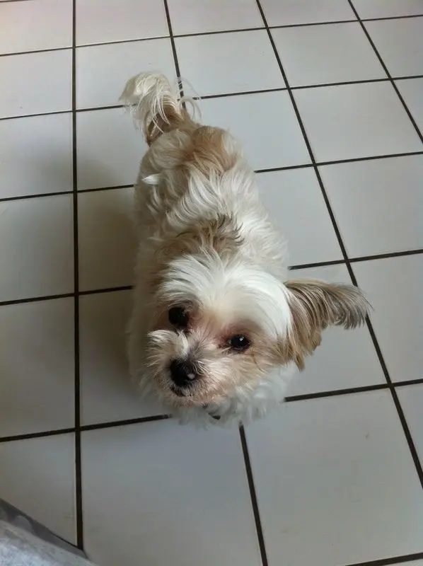 Condolence image of Melanie 