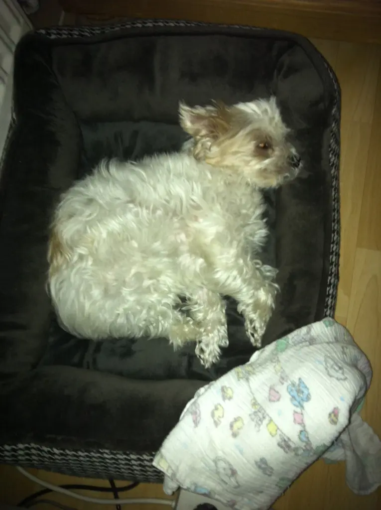 Condolence image of Melanie 