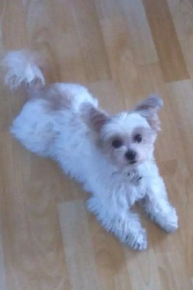 Condolence image of Melanie 