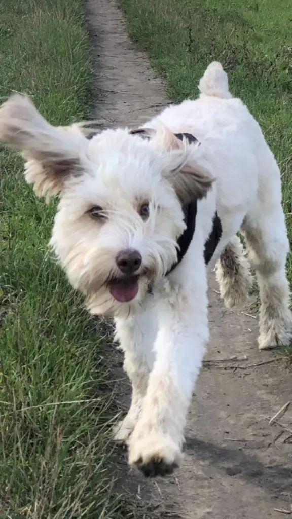 Condolence image of Melanie 