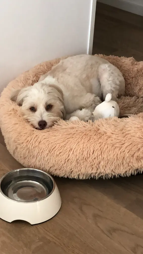 Condolence image of Melanie 