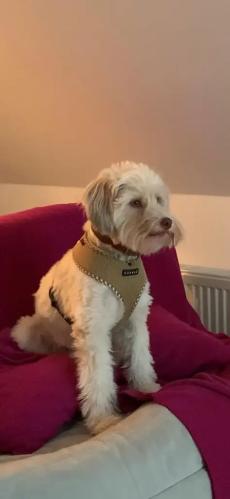 Condolence image of Melanie 