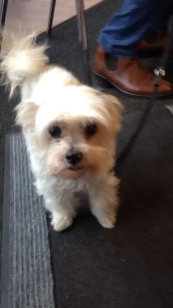 Condolence image of Melanie  Schmihing 