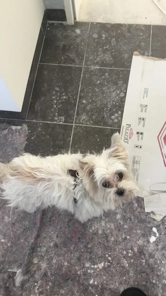 Condolence image of Melanie 