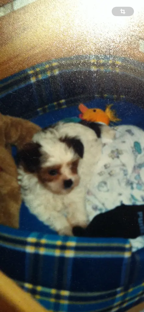 Condolence image of Unbekannt