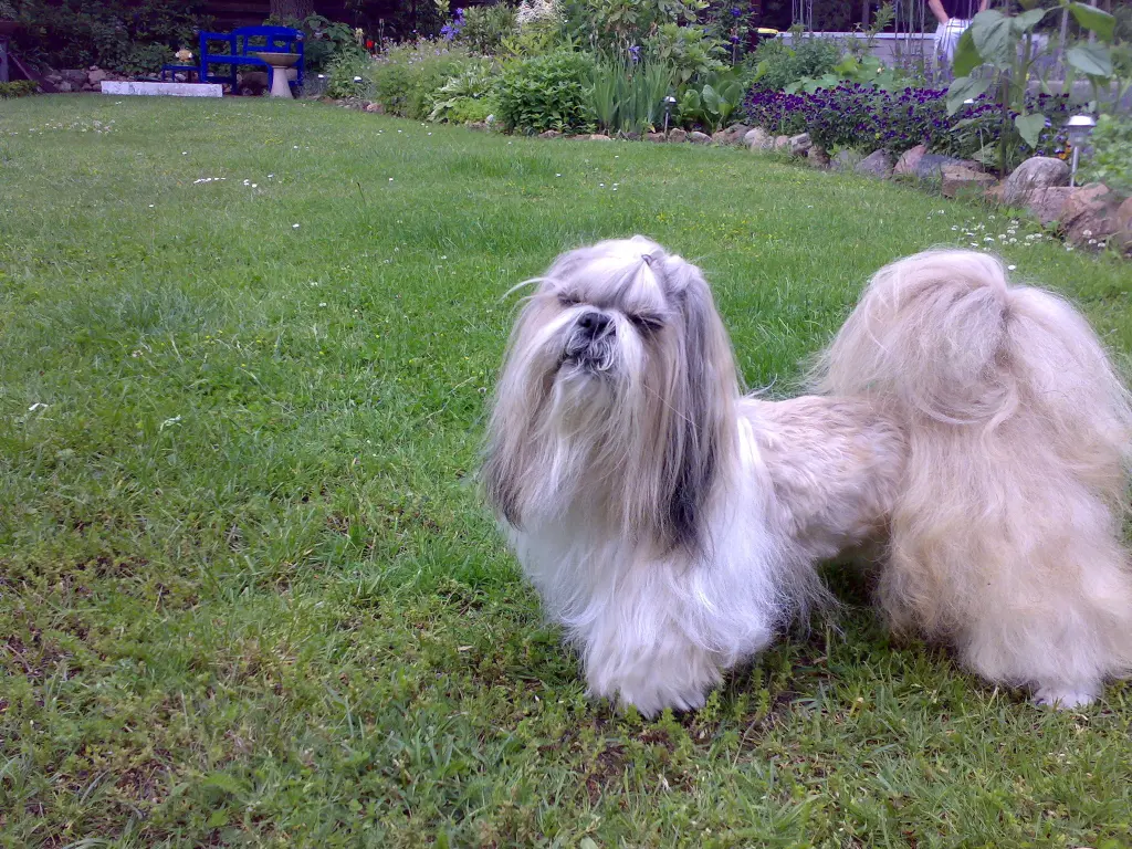 Condolence image of Karin + Thomas 