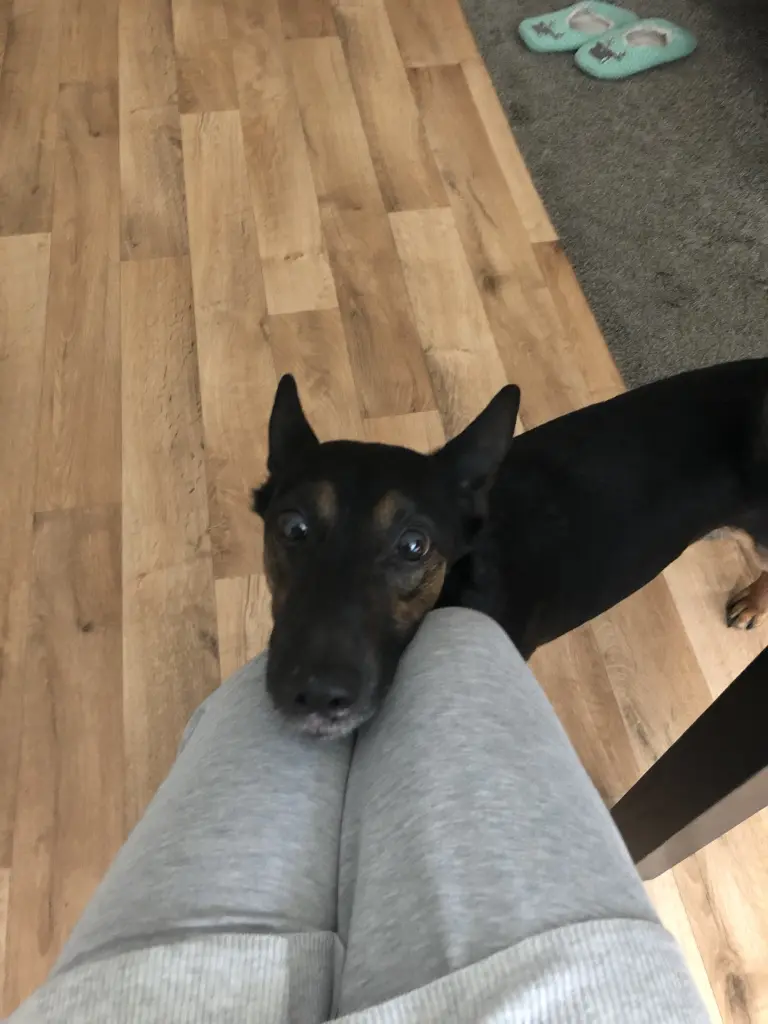 Andachtsbild von Sandy Yang