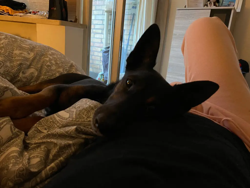 Andachtsbild von Julia Krüger