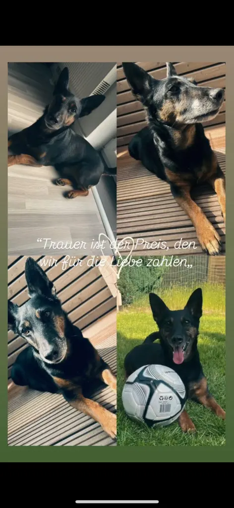 Andachtsbild von Brian