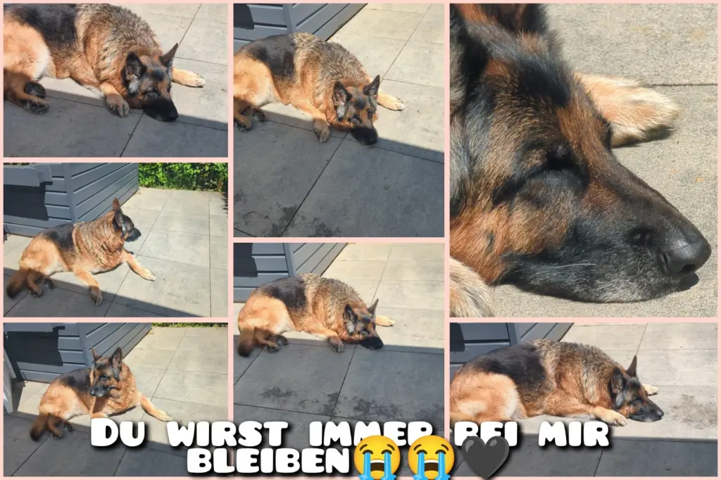 Andachtsbild von Anke Schwesig