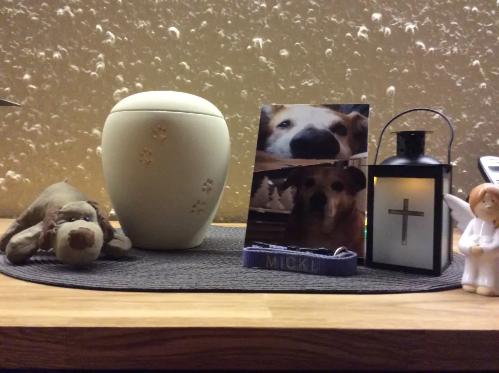 Condolence image of Angelika und Ingo