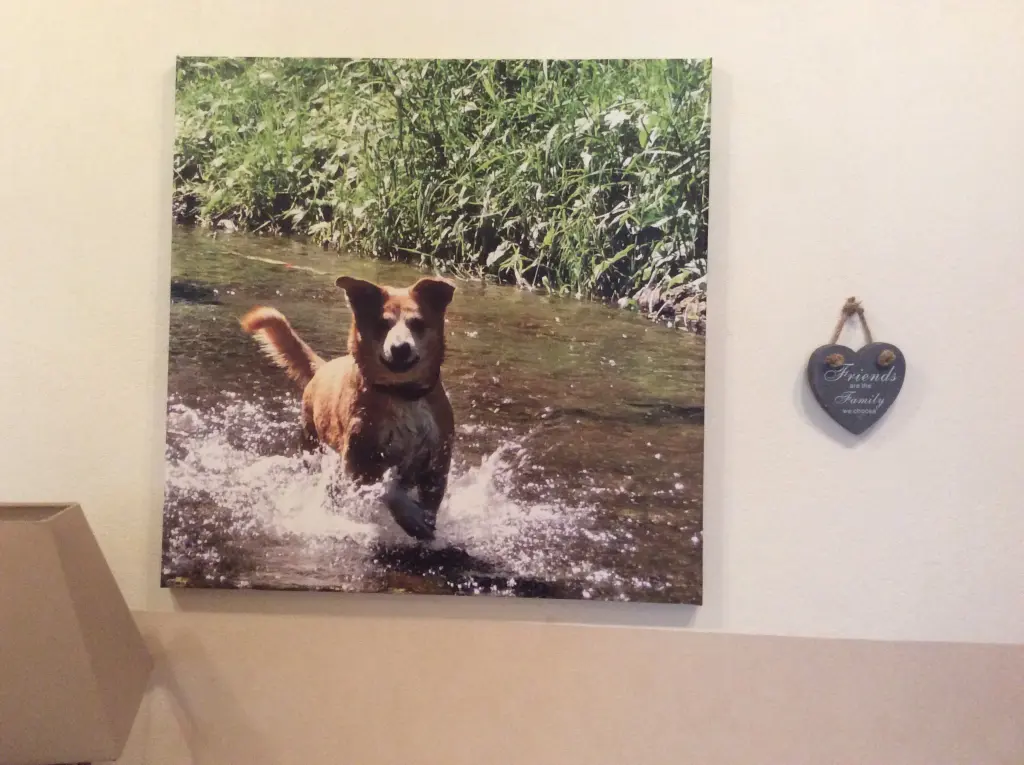 Condolence image of Mama und Papa