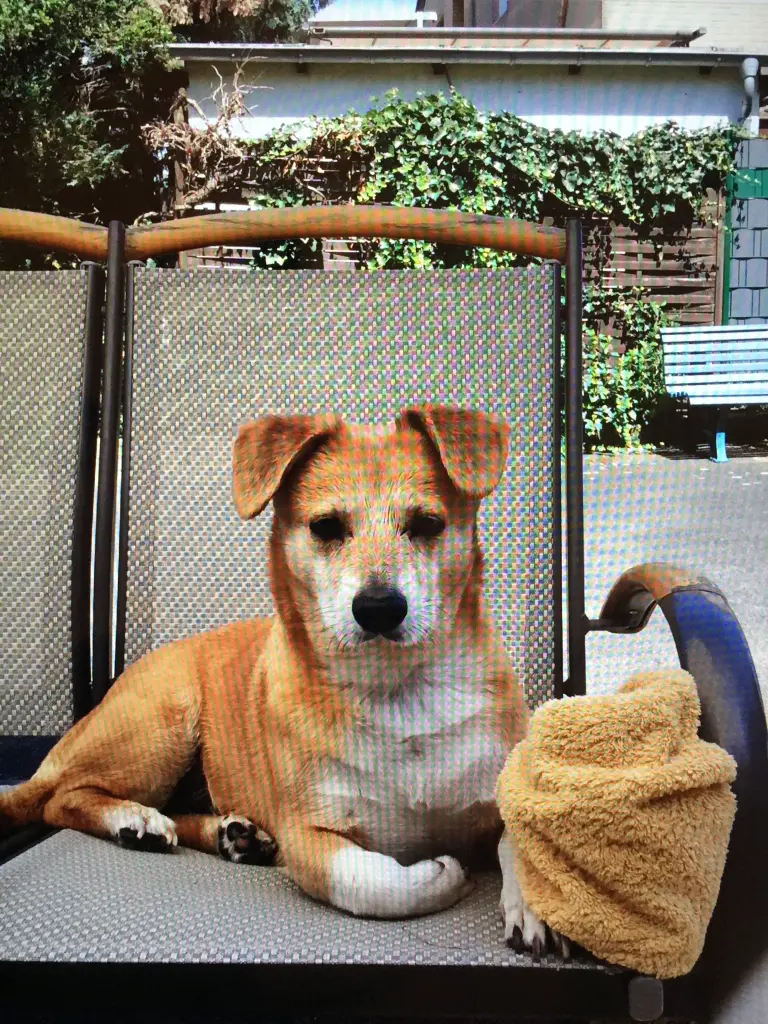 Condolence image of Mama und Papa  Kroll