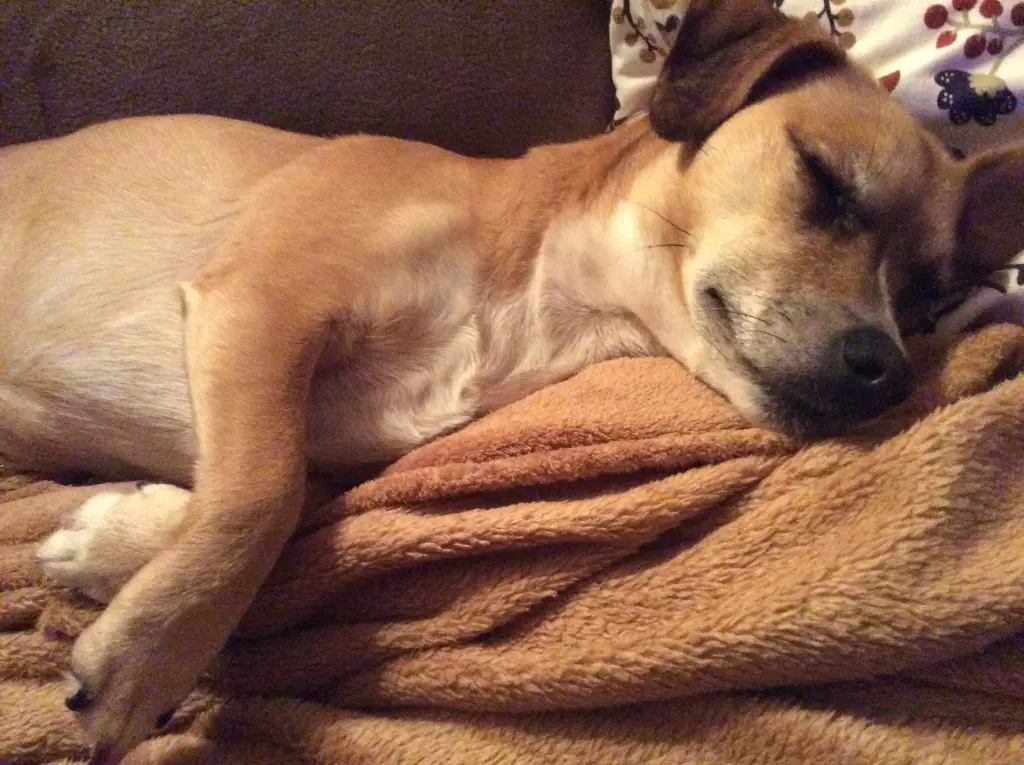 Condolence image of Mama und Papa