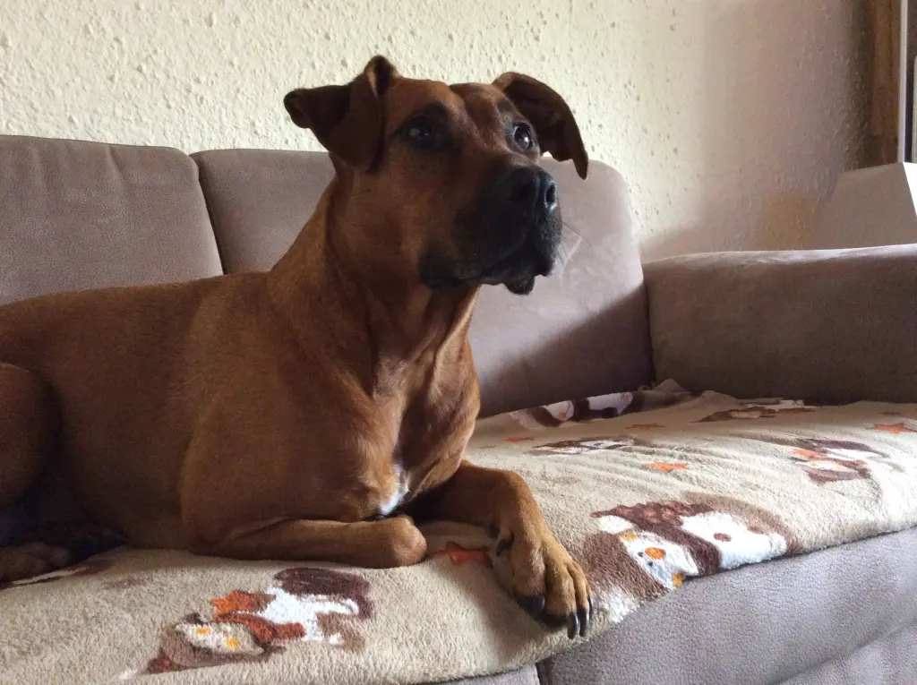 Condolence image of Mama und Papa Kroll