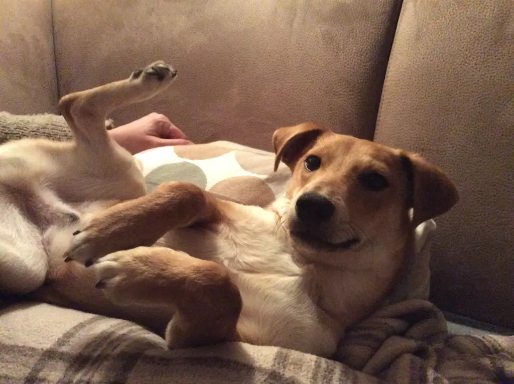 Condolence image of Mama und Papa