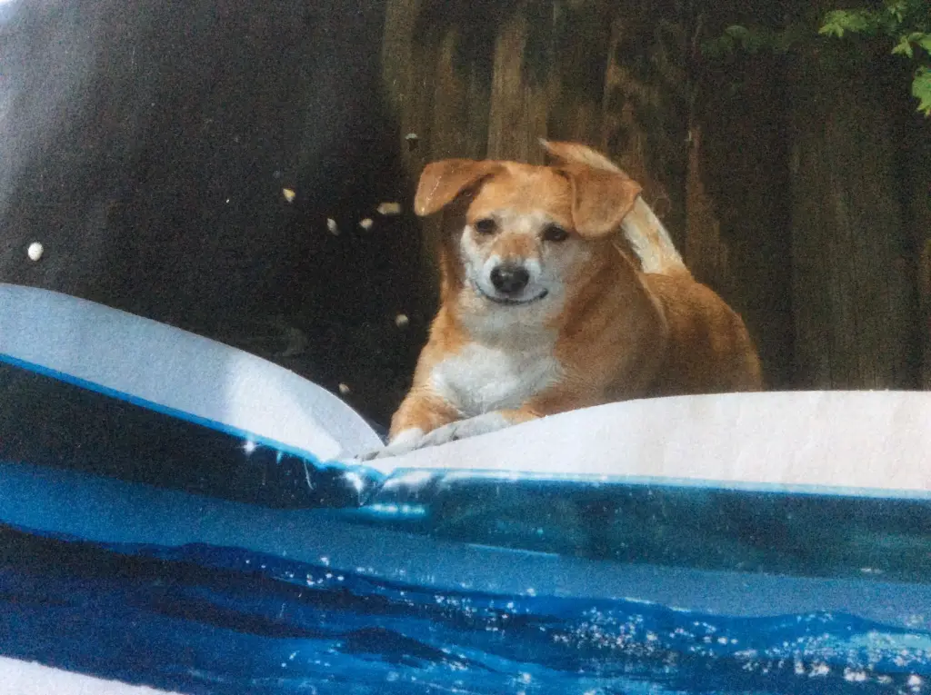 Condolence image of Mama und Papa