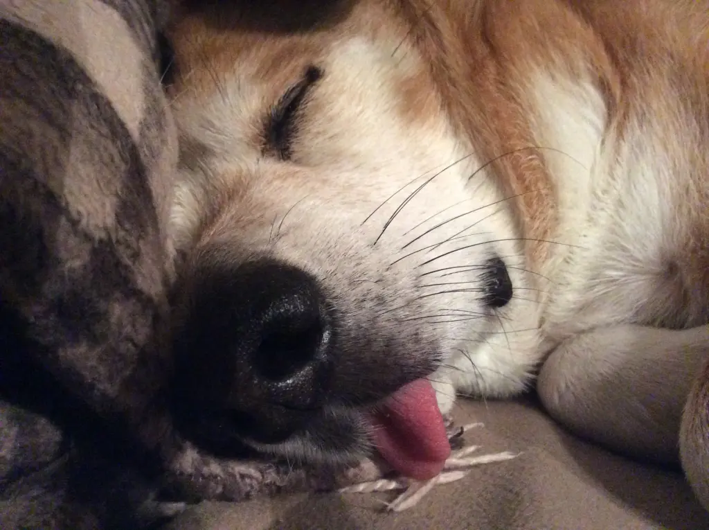 Condolence image of Mama und Papa